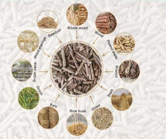 Le marché du poisson machine à pellets alimentaire pour animaux avec 55KW et 0,75KW puissance de l'alimentateur